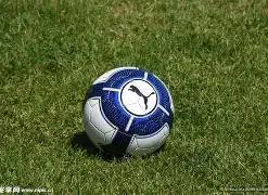 定州佳扬体,育用品公司,诞生,Ebpay安全承兑,Ebpay回收销售,Ebpay承兑,Ebpay充值