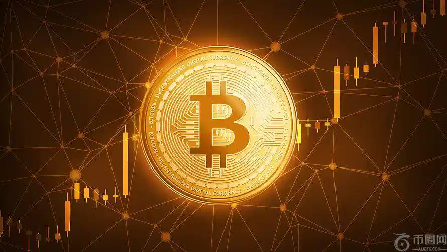 WIF,揭秘迷因币,投资风向标,Ebpay安全承兑,Ebpay回收销售,Ebpay承兑,Ebpay充值