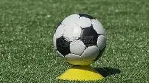 伯希和棉服宣传填充100g，实际仅60g？客服提示留意细节...