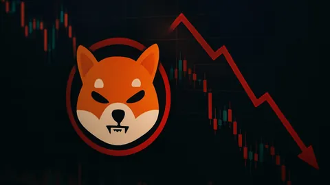 2025年澳门网球公开赛职业赛季末战12月开拍