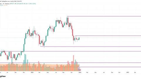 特朗普重磅发声：直面竞争挑战，揭秘合作新篇章，世界经济论坛年会不容错过！
